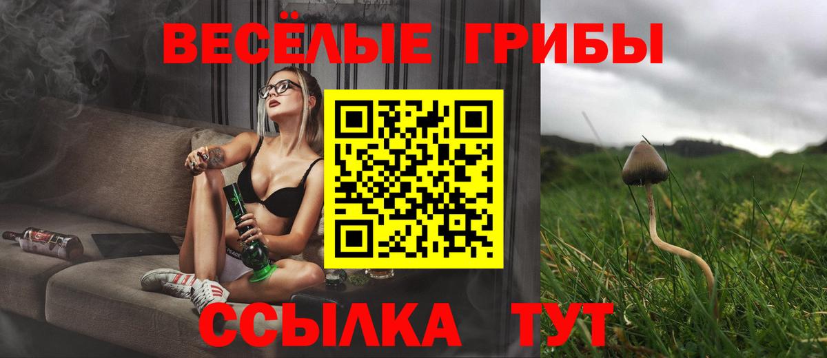 Большой Камень  Псилоцибиновые грибы MAGIC MUSHROOMS  Вход с VPN 